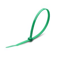 Стяжки нейлоновые Fortisflex КСС 3x100 (зел) (100шт.) зеленый картинка